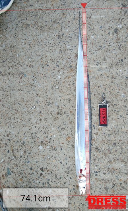 タチウオ数減ってきた