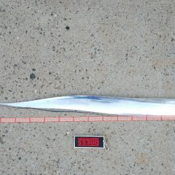 久々にタチウオ釣れた