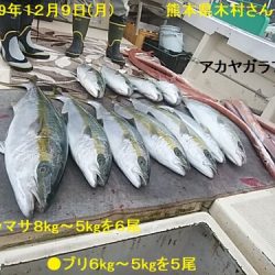 大物釣果速報！●光義丸：平戸市早福港