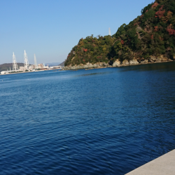 サバ サバ サバ