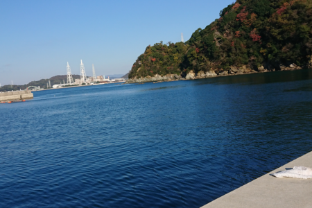 サバ サバ サバ