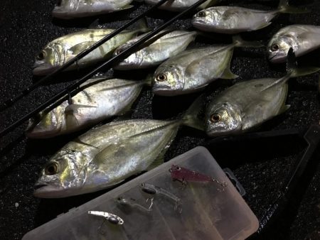 雨の中、強行アジング