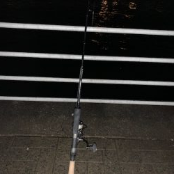 表層にあたりが集中