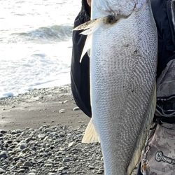 サイズは小さいけど(^^)