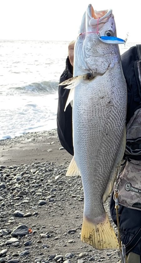 サイズは小さいけど(^^)