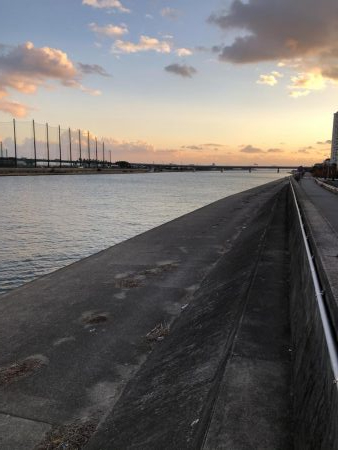 武庫川シーバス探索