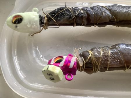 今朝も寒い中タチウオ狙い