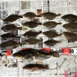 大船渡市越喜来湾での鰈釣り