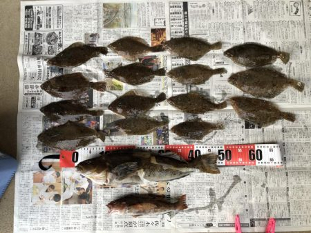 大船渡市越喜来湾での鰈釣り