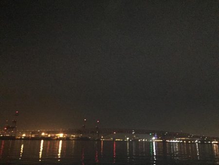 タチウオ昇竜拳