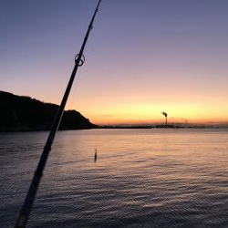 ヒラメ釣れず…