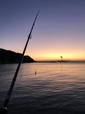 ヒラメ釣れず…