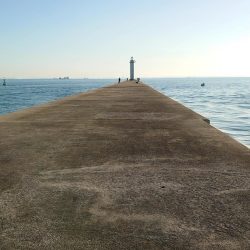 ヒラメ釣れました