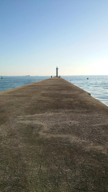 ヒラメ釣れました