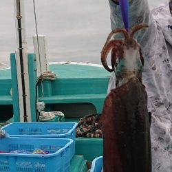 奇跡の根がかり王!