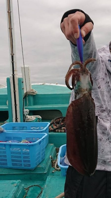 奇跡の根がかり王!