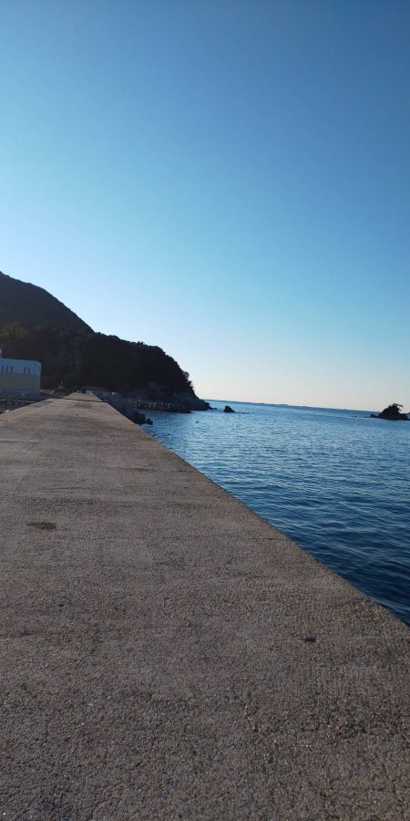 久々でホウボウ