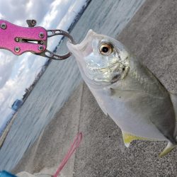 爆風と寒さに耐えながら