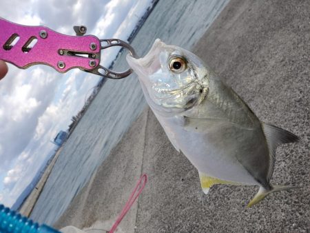 爆風と寒さに耐えながら