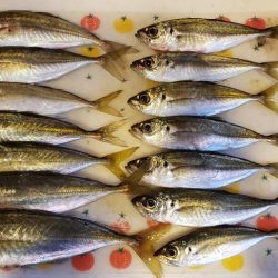 二日前と全然違う