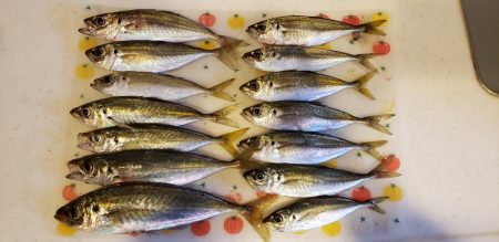 二日前と全然違う