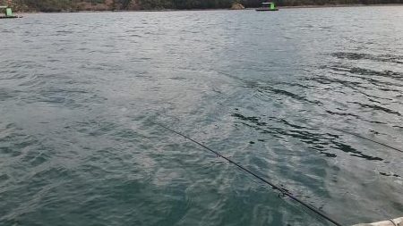 シーズン初期のカレイ