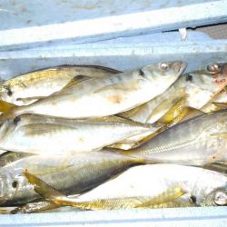 釣り納めのボートアジング