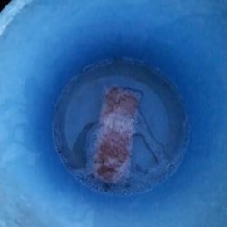 深夜スタート、なんとか大物をゲット！