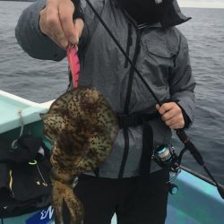 浅川沖でアオリイカ