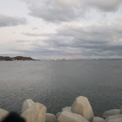 根魚は元気やった