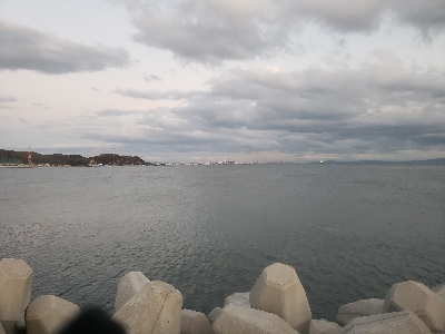 根魚は元気やった