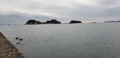 念願の…..ヒラメェェ！！