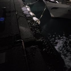 釣れる魚を釣る釣行