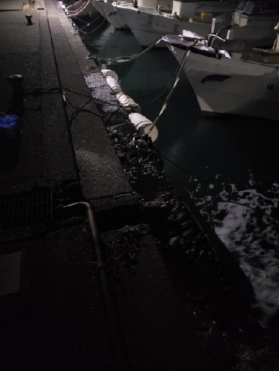 釣れる魚を釣る釣行