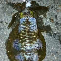 絶好のコンディション