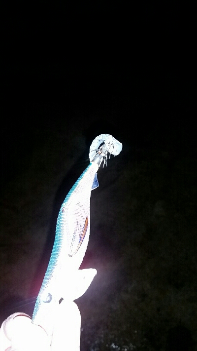 2日連続印南へ。