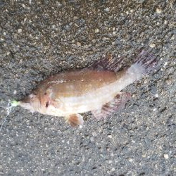 久しぶりの餌釣り