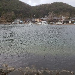 久しぶりのキス