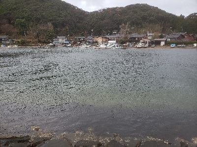 久しぶりのキス