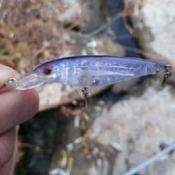 12月23日紀の川釣行