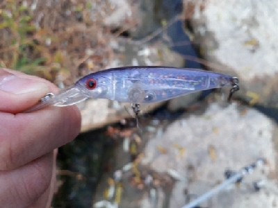 12月23日紀の川釣行