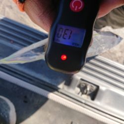 コウイカリベンジ