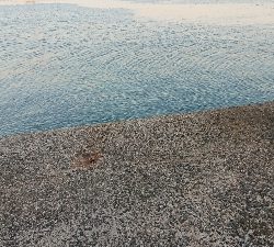 シーズンオフですか