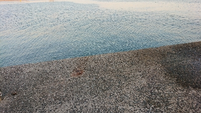 シーズンオフですか