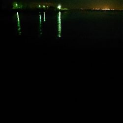 釣れてくれてありがとう