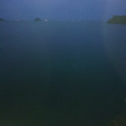 お正月用のイカゲット！