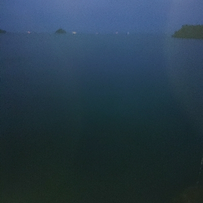 お正月用のイカゲット！