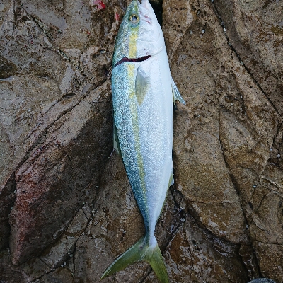 今年もこの場所で会えました