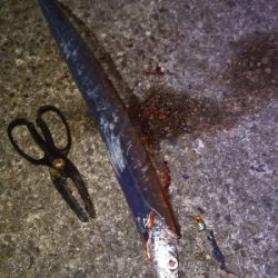 沖堤防より釣れる？