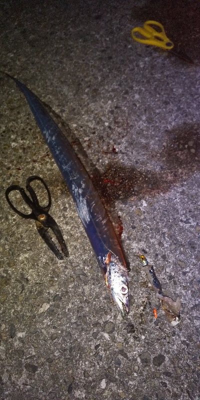 沖堤防より釣れる？